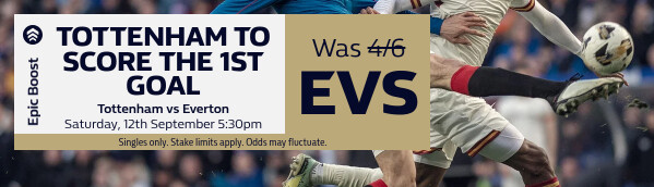 Tottenham vs Everton - Epic