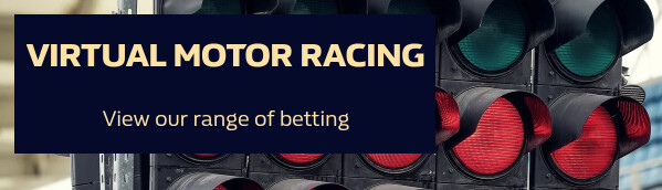 Virtual Motor Racing