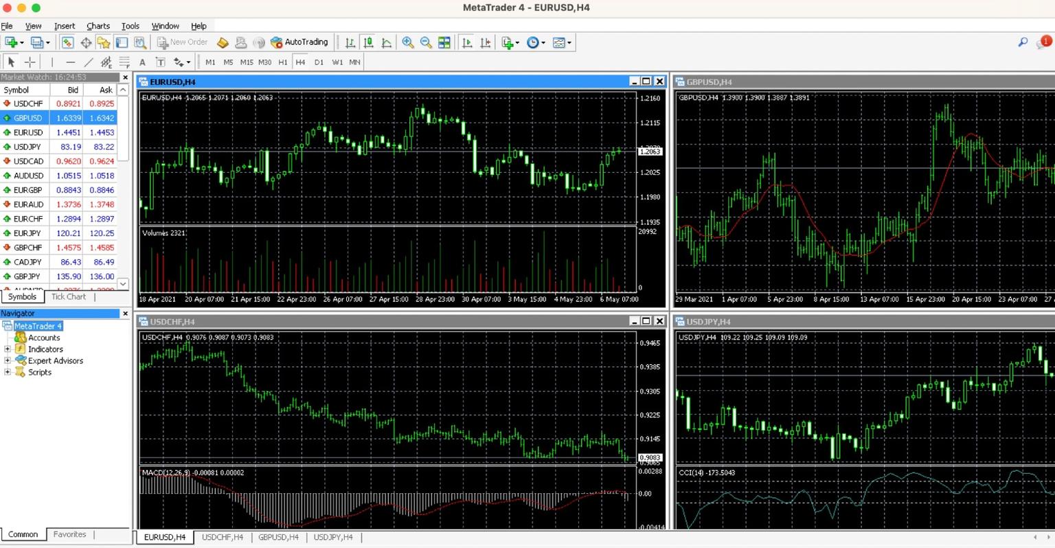 metatrader4_example.jpg