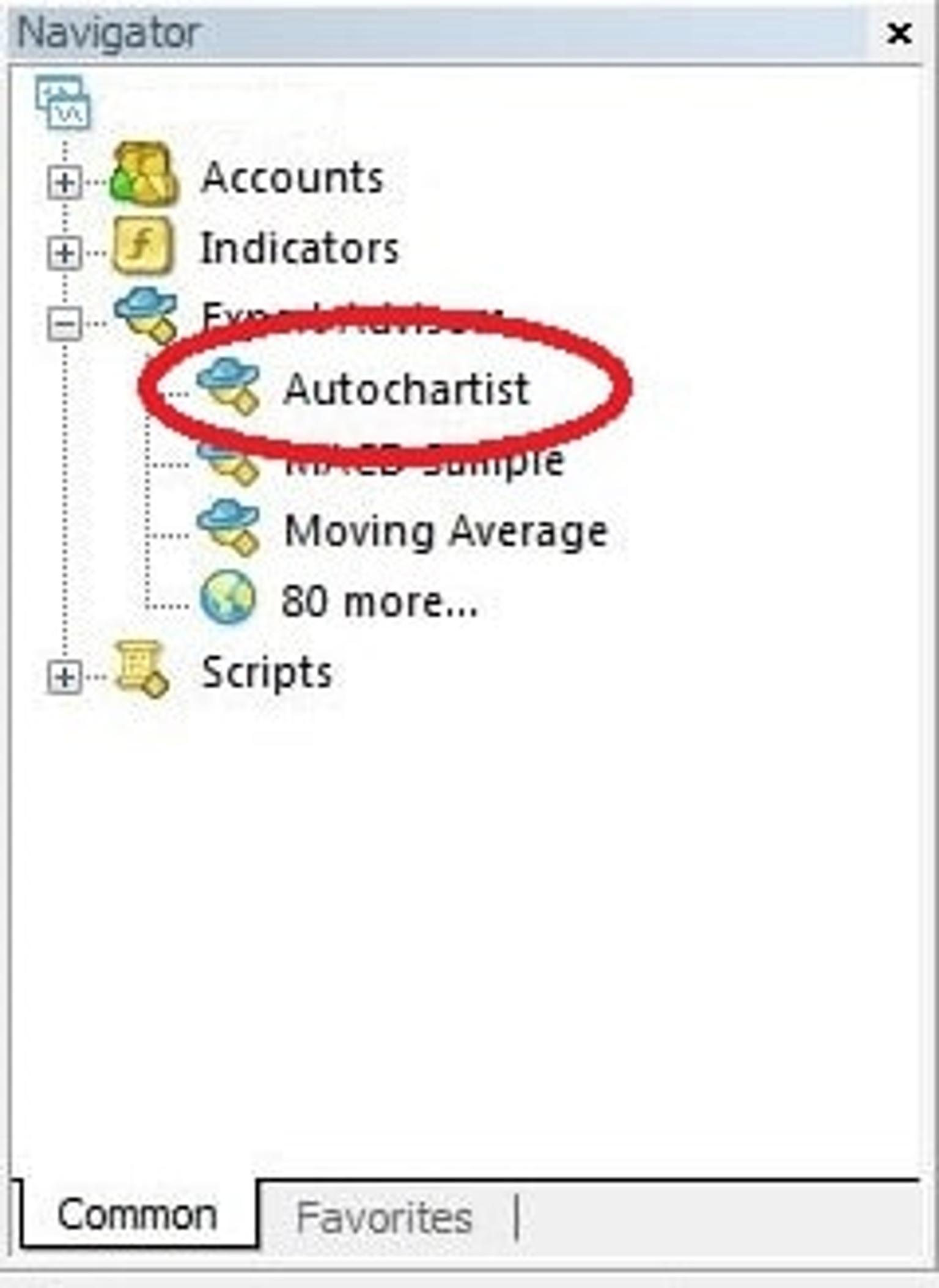 autochartist.jpg