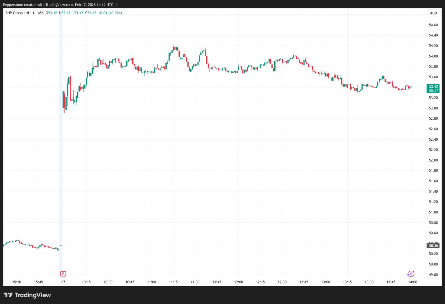 BHP_2026-02-17_14-19-03.png