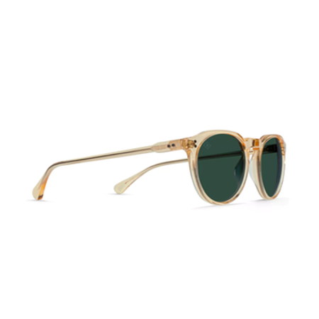 Wayfarer-Sunglasses-side1.png