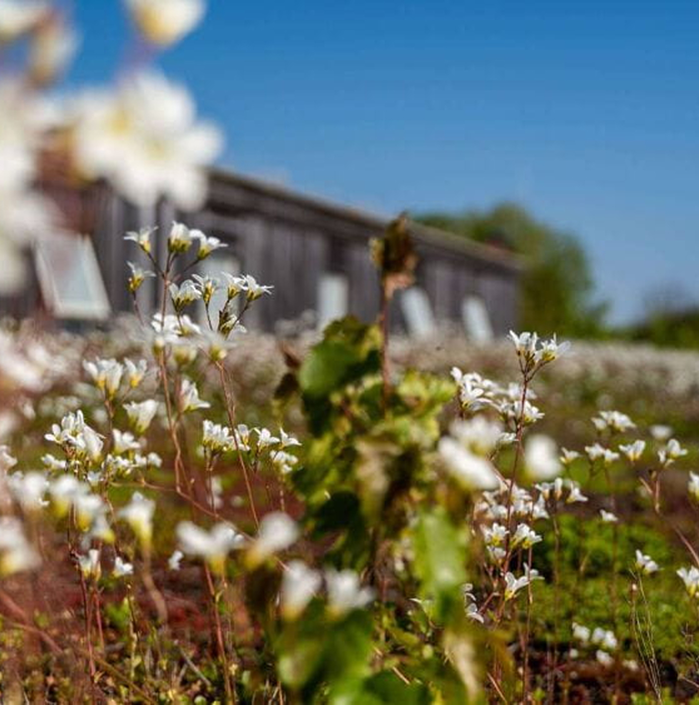 The Rivergreen Centre