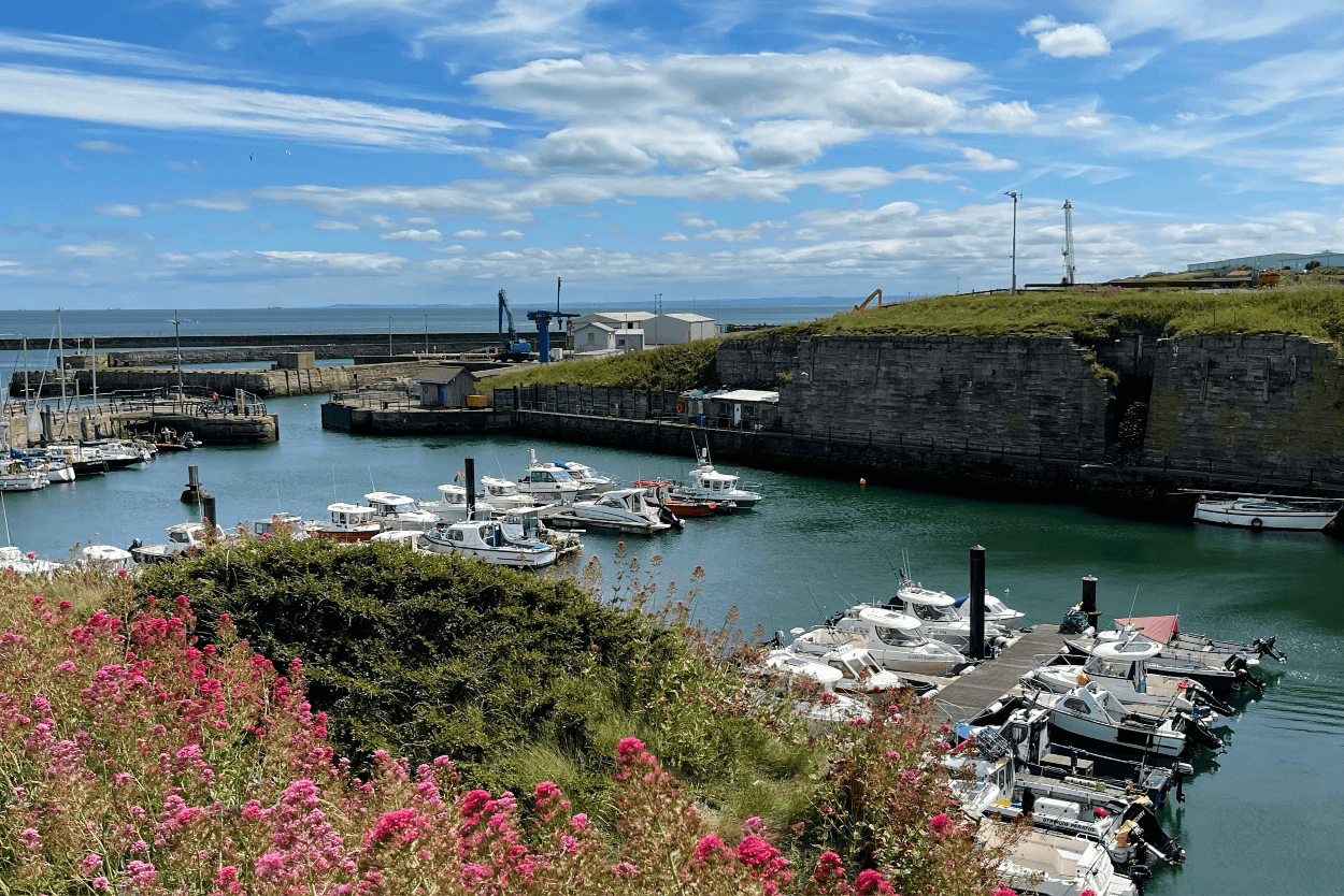 Boats docked at a harbour