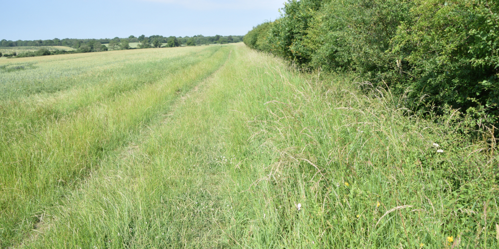 Aldwincle Habitat Bank