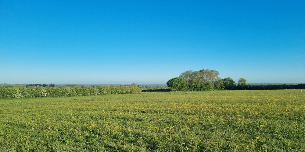 Boxworth Habitat Bank