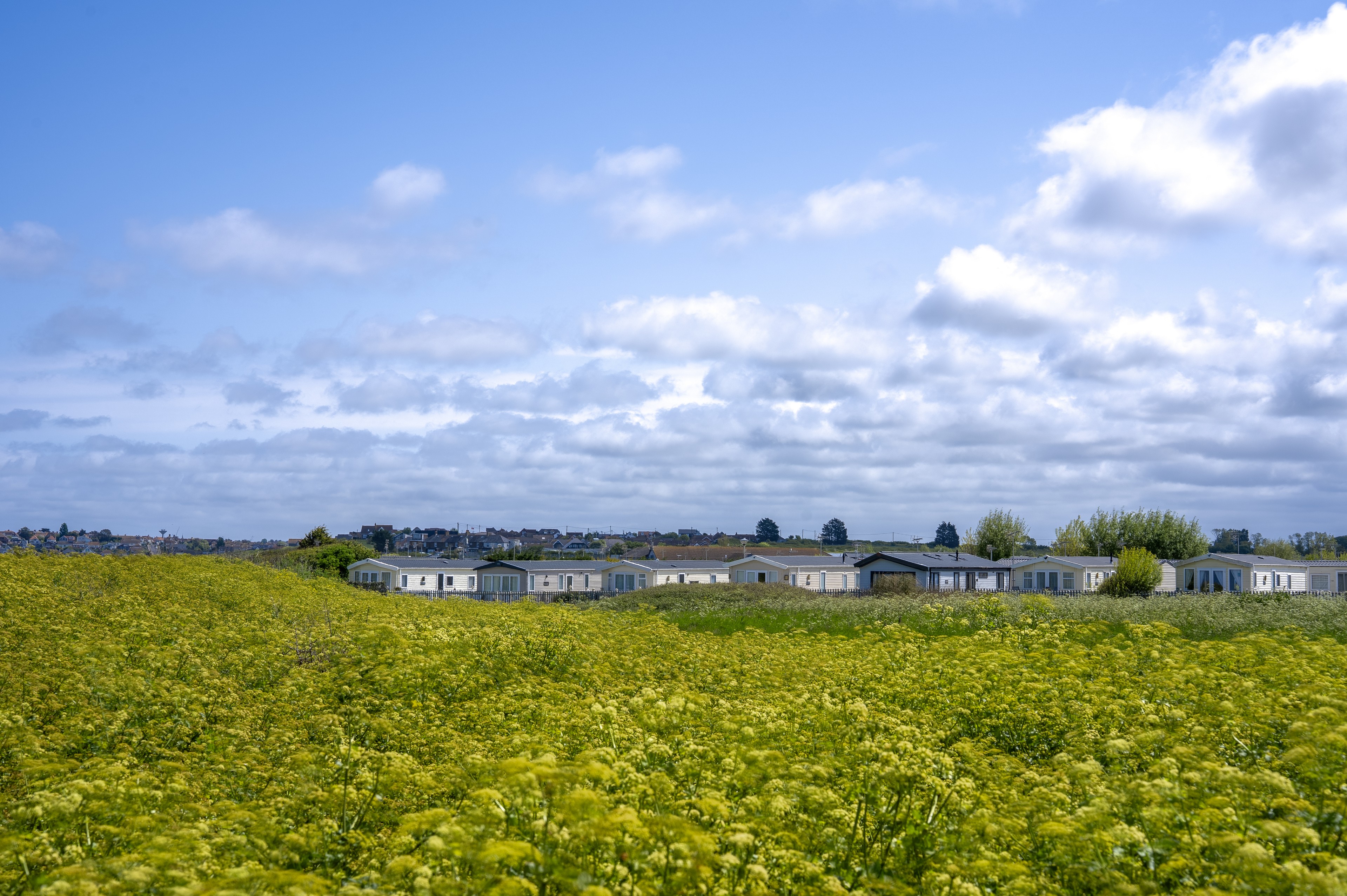 Photo of Willerby Caledonia 2017 (Static Caravan)