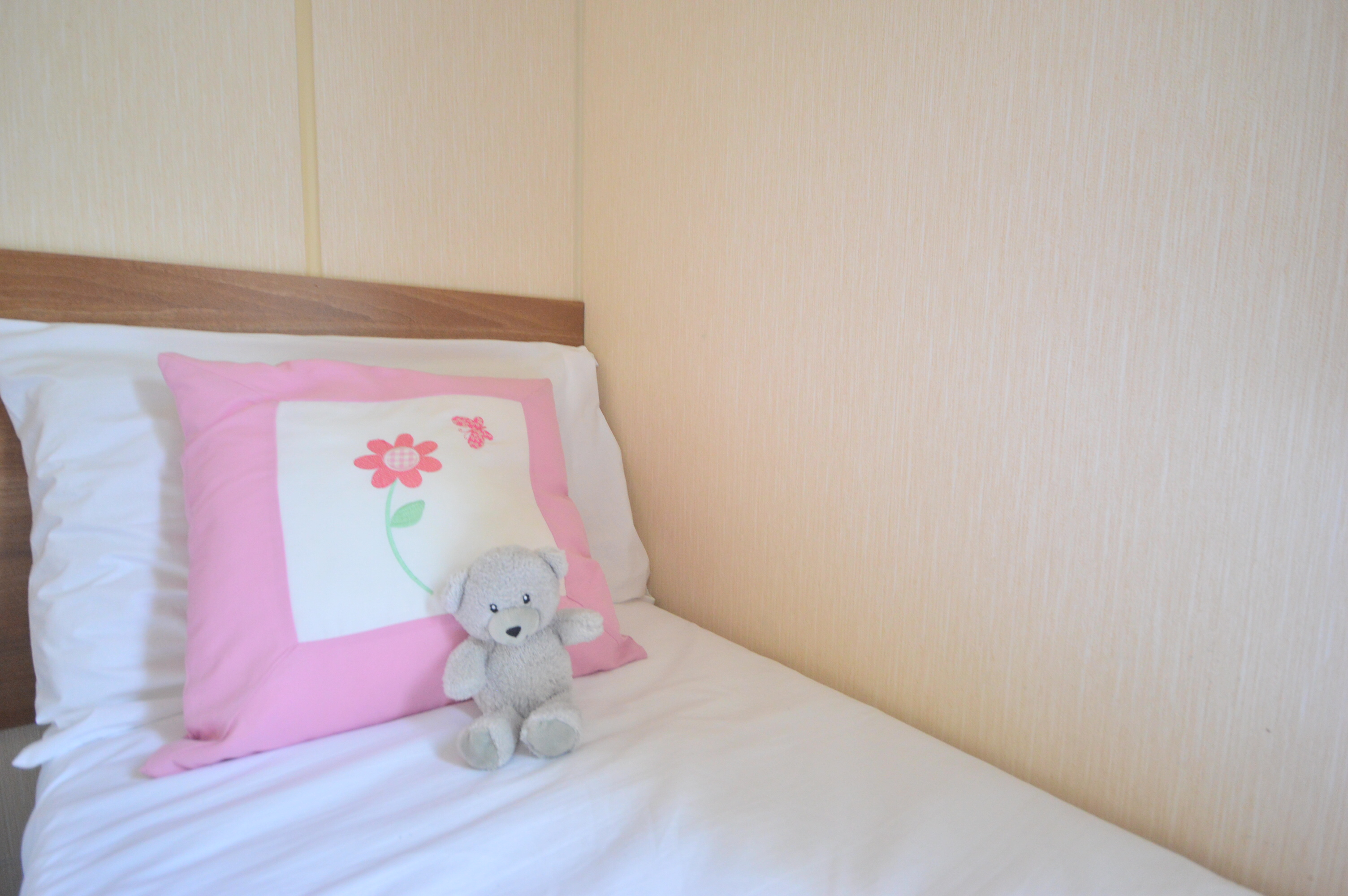 Photo of ABI Vista 2012 (Static Caravan)