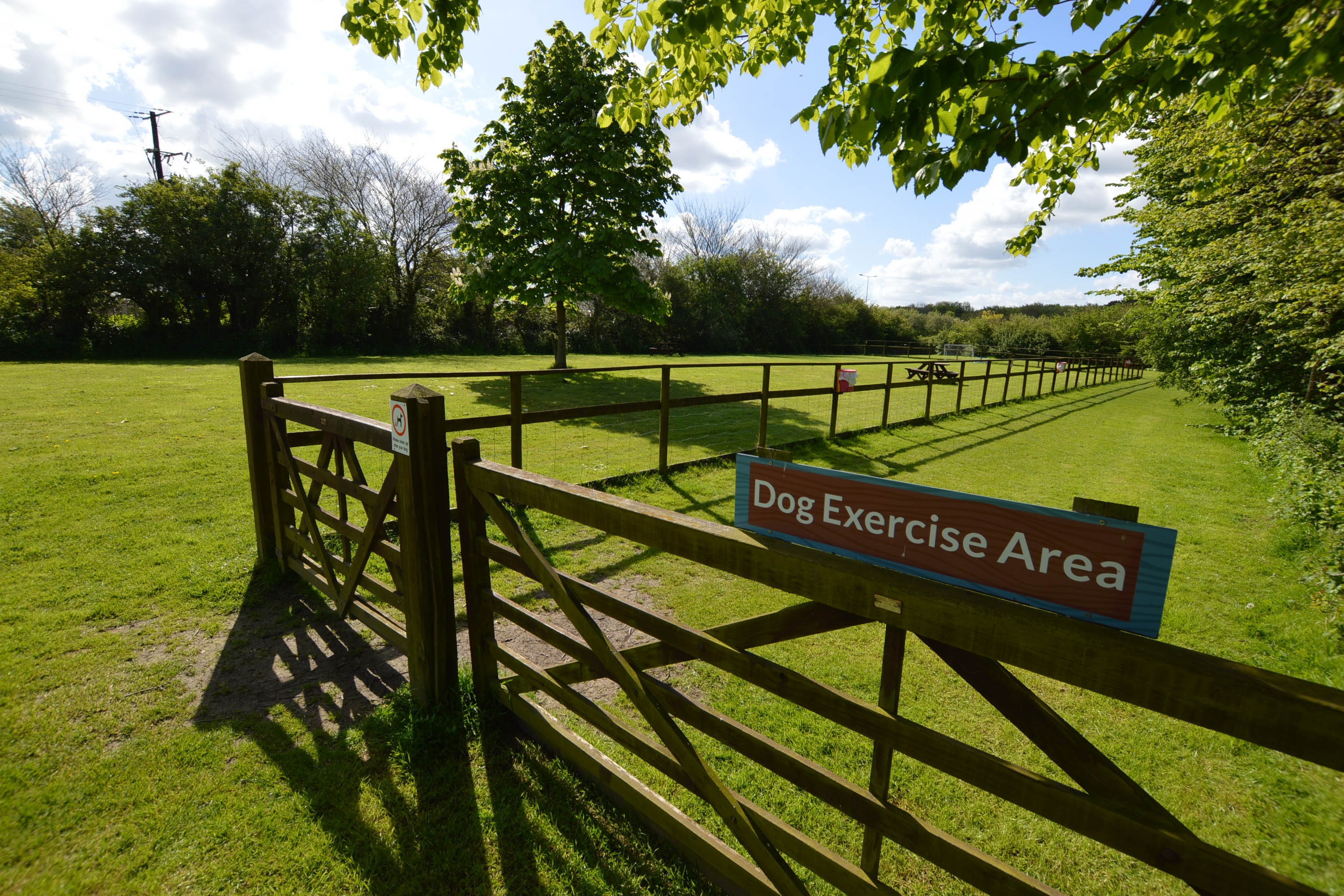 Dog exercise area