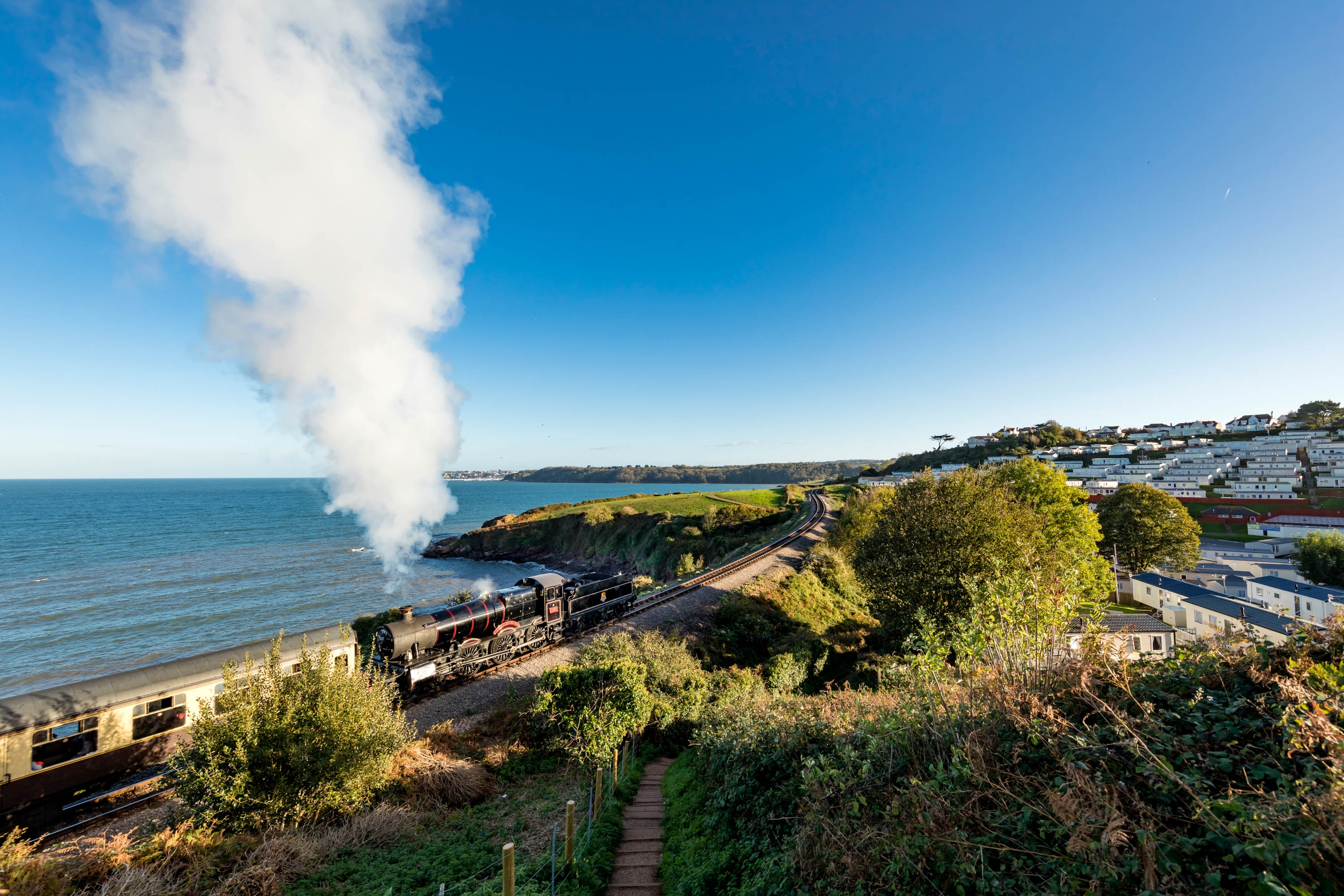 Park view with train