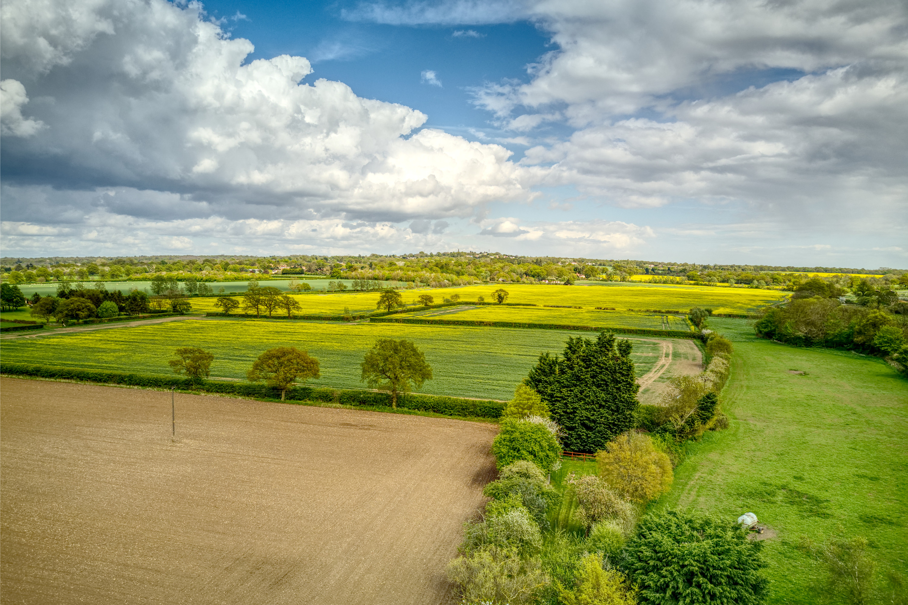 Danbury country park