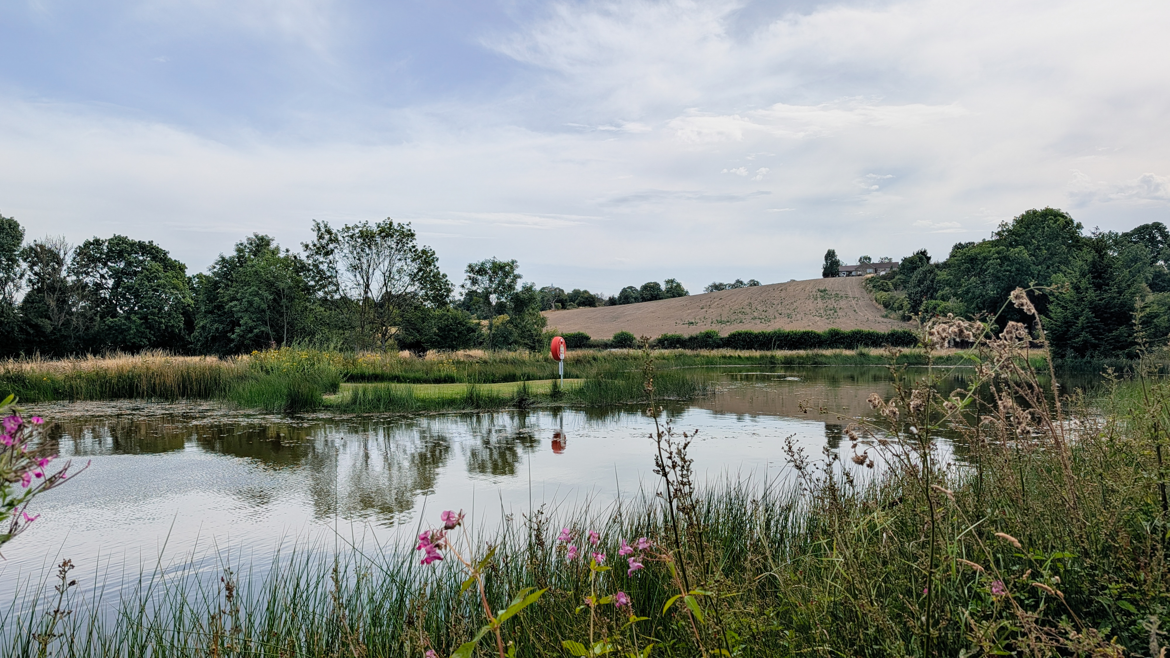 Tranquil lake