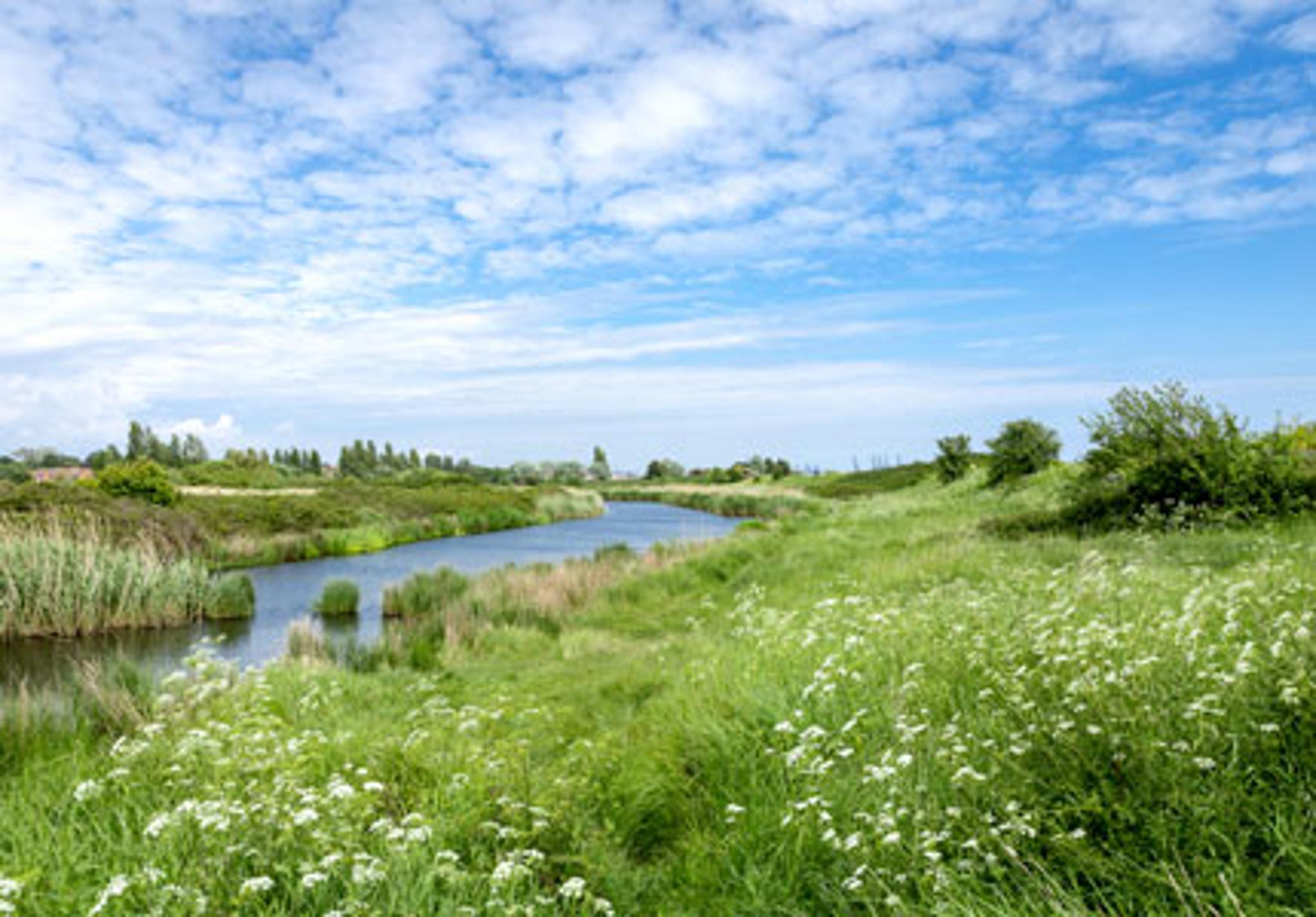 Dovercourt local area