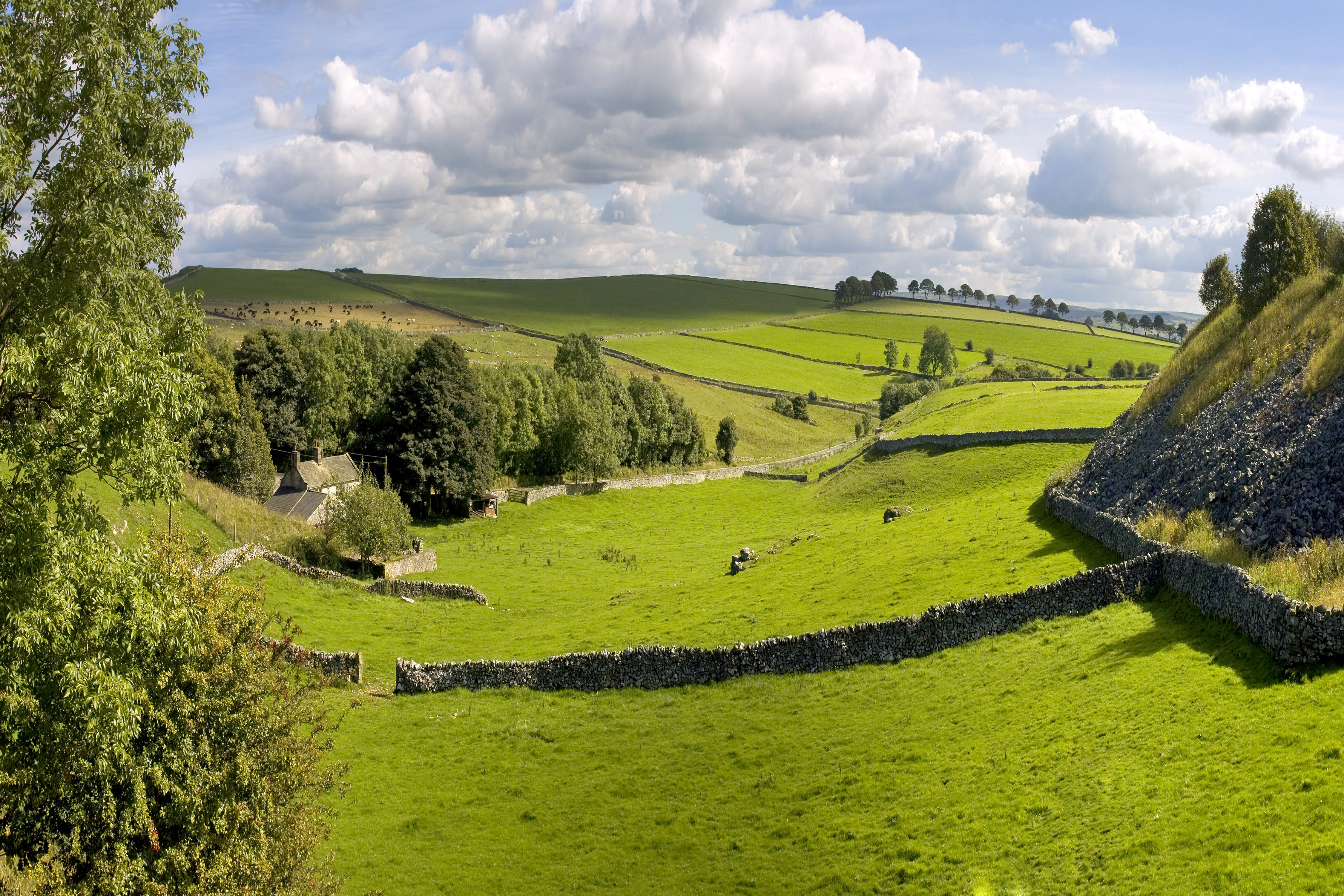 The green countryside of the Peak District National Park in Derbyshire