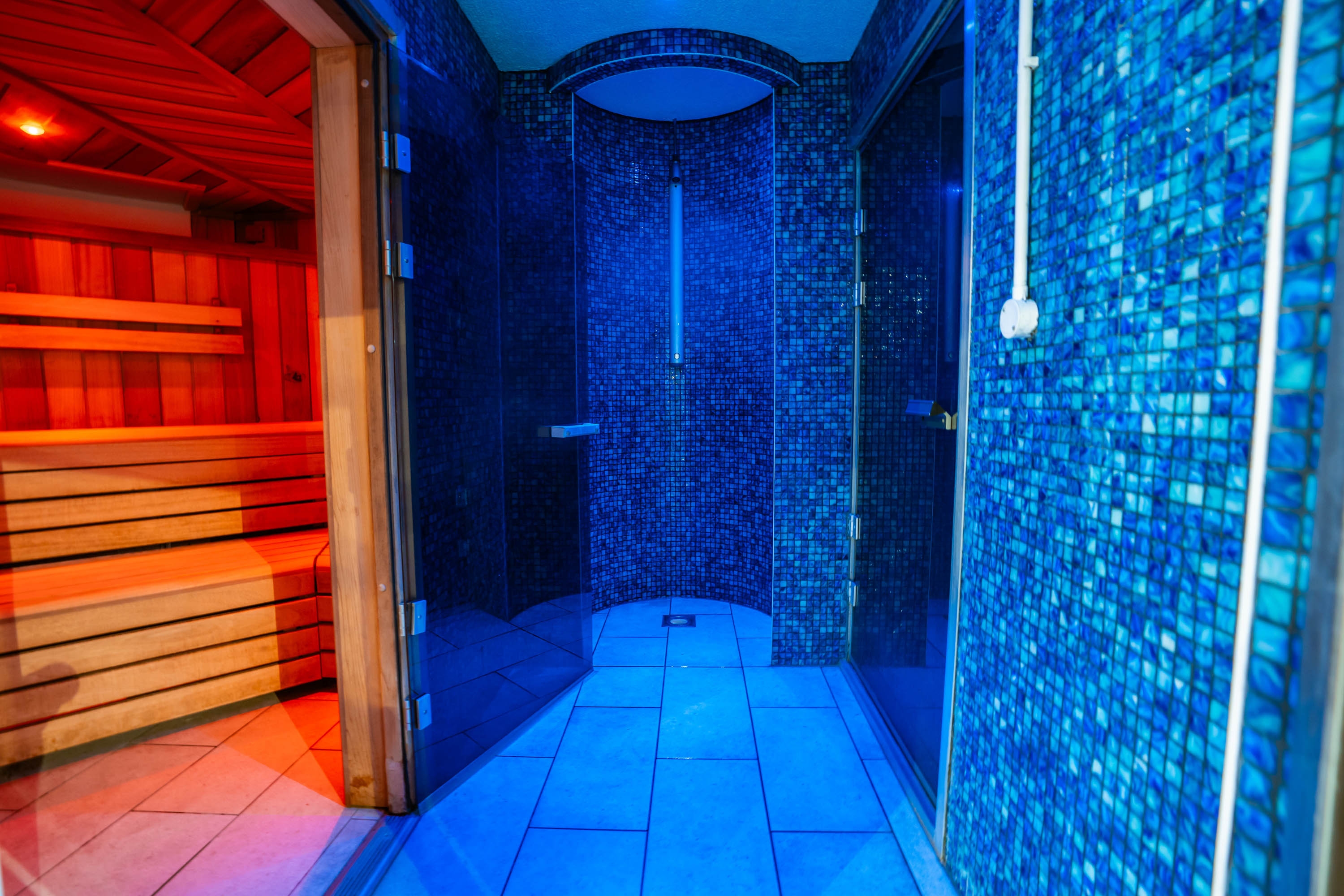 Sauna & steam room