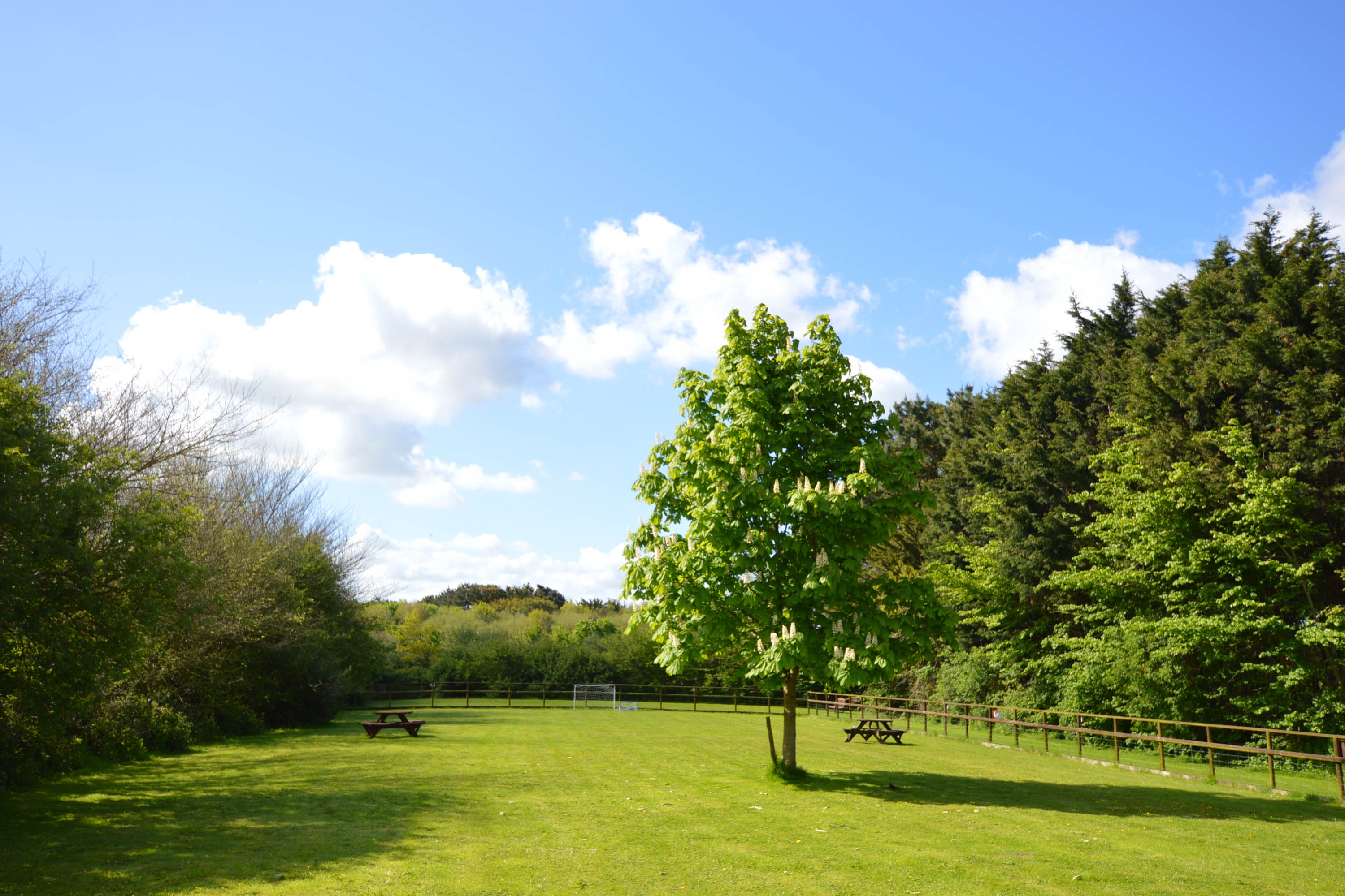 Park view
