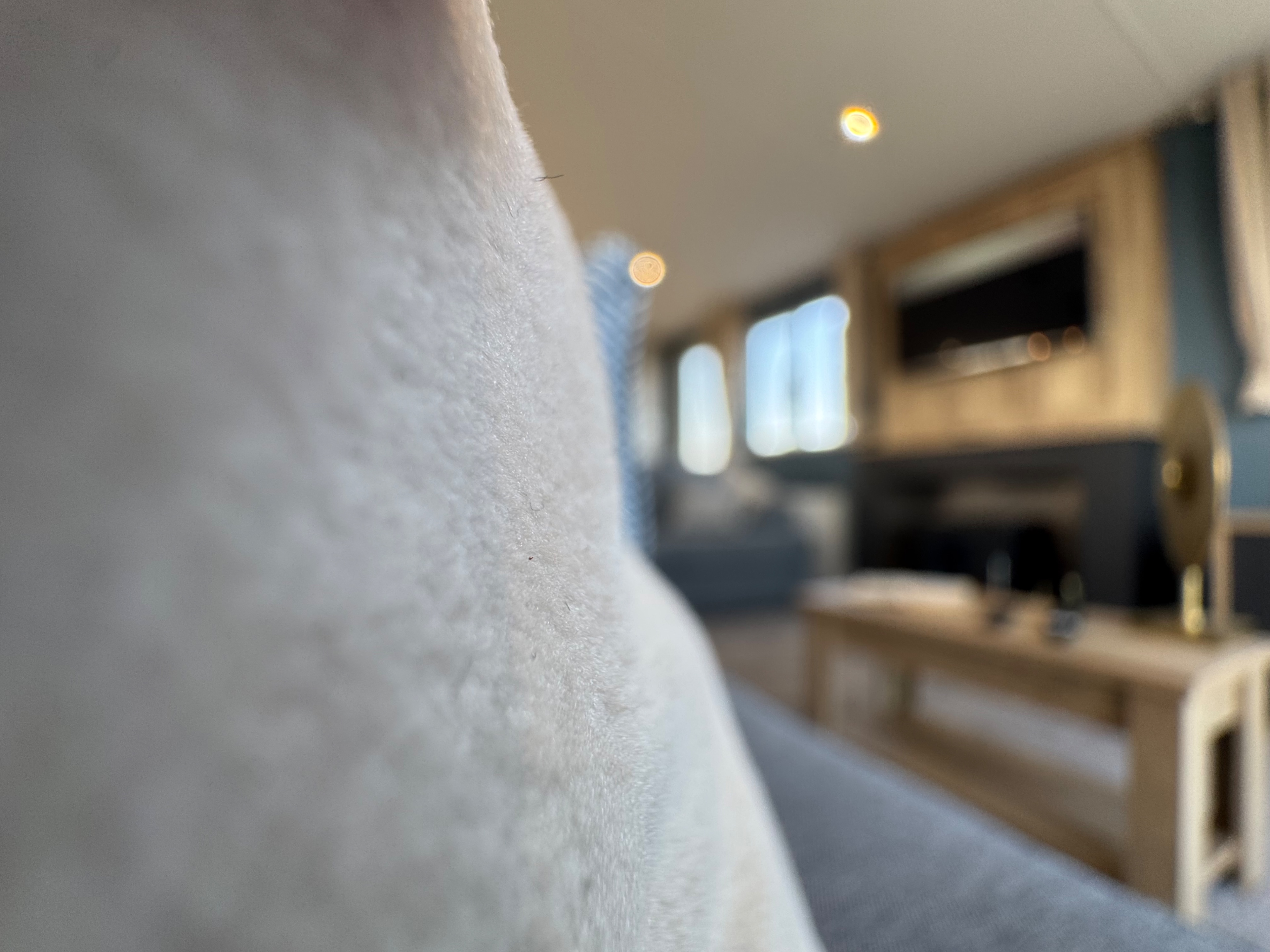 Photo of Willerby New Holland 2026 (Luxury Lodge)