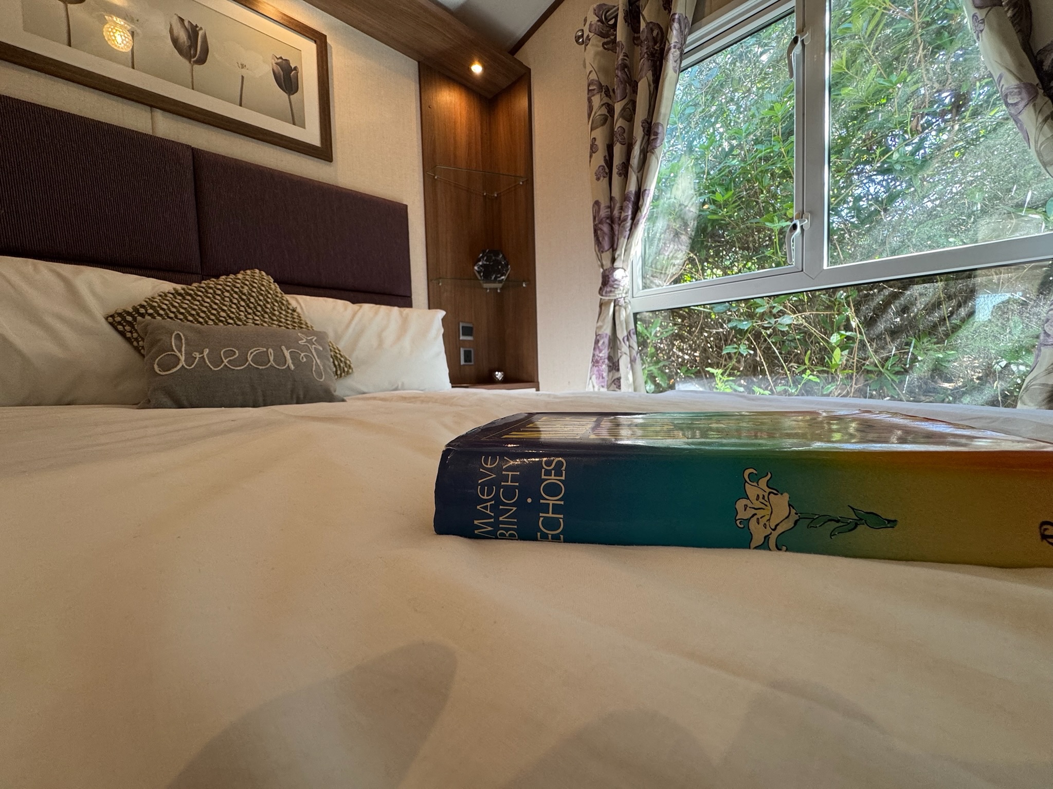 Photo of Carnaby Finesse 2017 (Static Caravan)