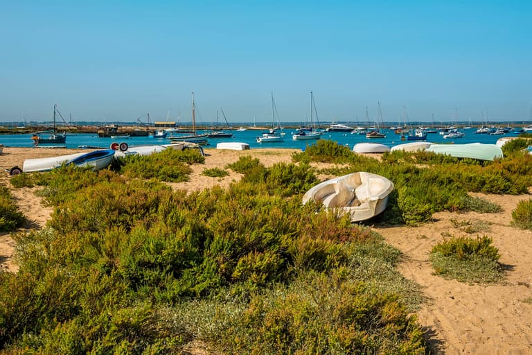 Blackwater Estuary, West Mersea, Essex