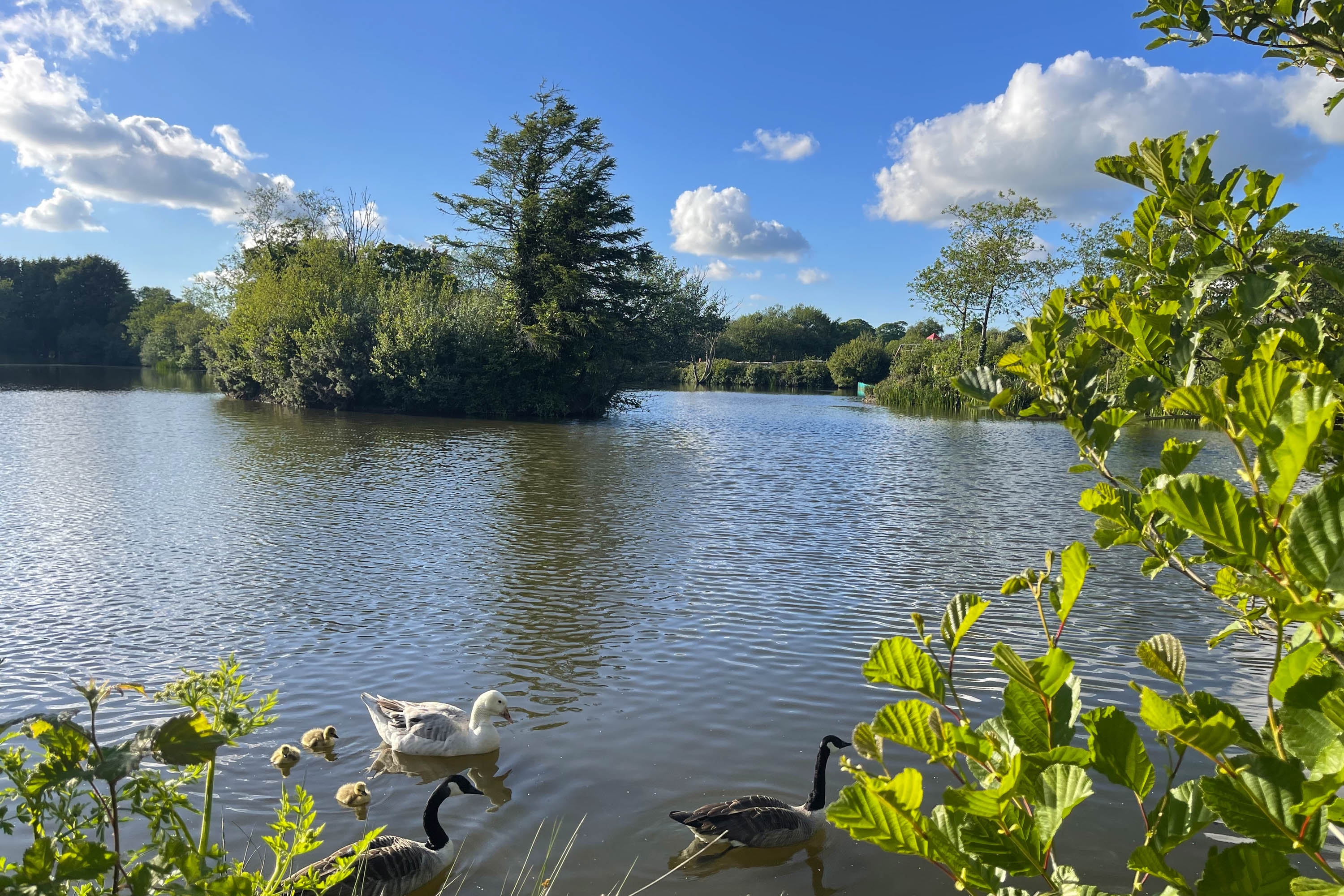 Fishing lake