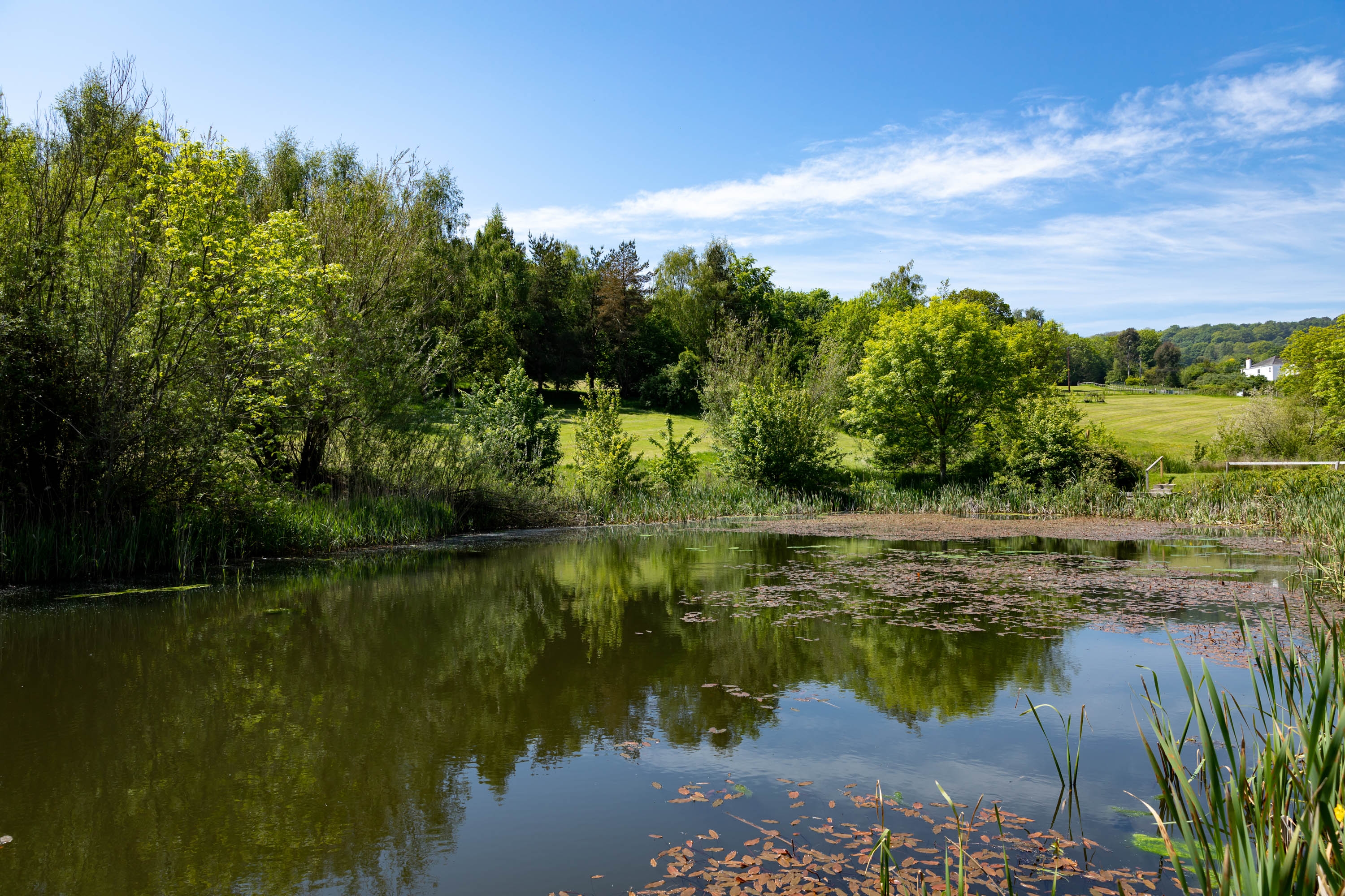 Fishing lake