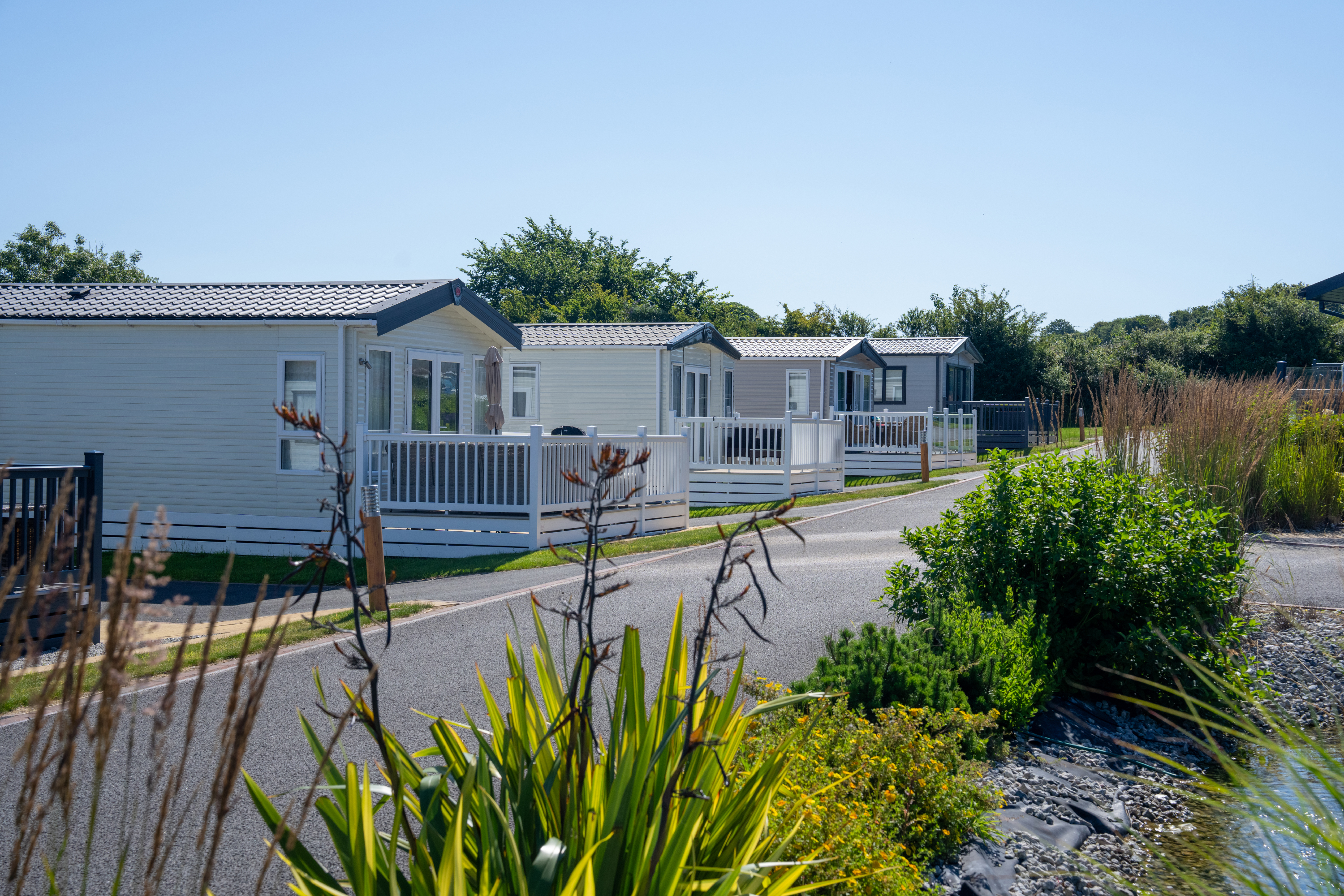 Oyster Bay