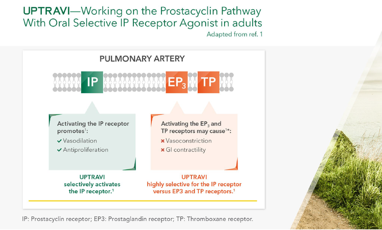 UPTRAVI Working on the Prostacyclin Pathway With Oral Selective IP