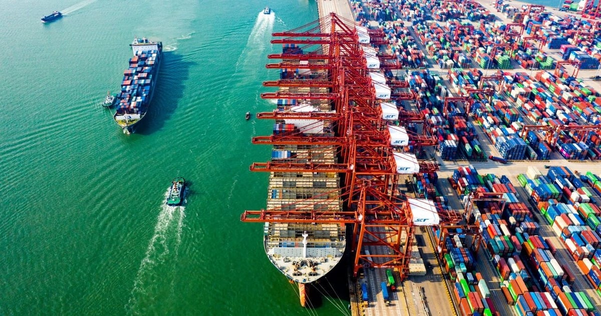 China Merchants Energy Shipping books eight containerships