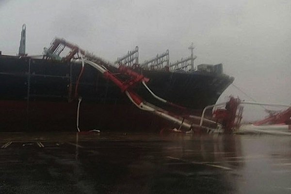 Typhoon Meranti causes 14,000-teu ship to hit Kaohsiung container