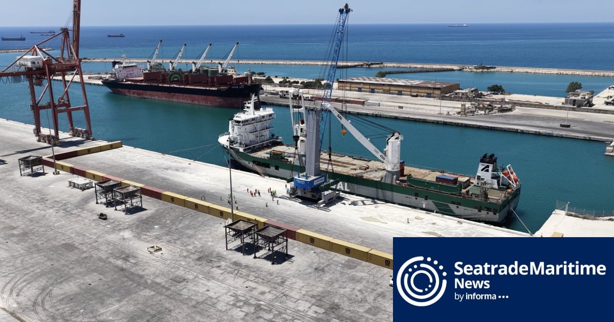 Tartous receives first cranes in $800m DP World investment