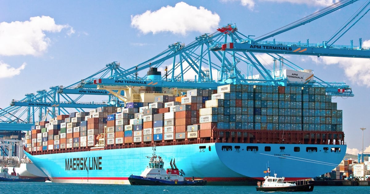 Container shipping market outlook for 2025
