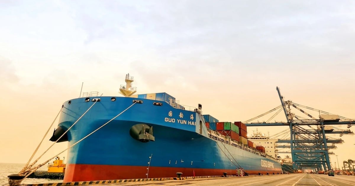 Cosco Shipping Bulk launches first container service