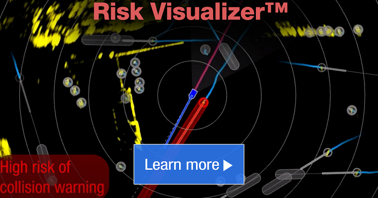 Collision Avoidance Support: Risk Visualizer™