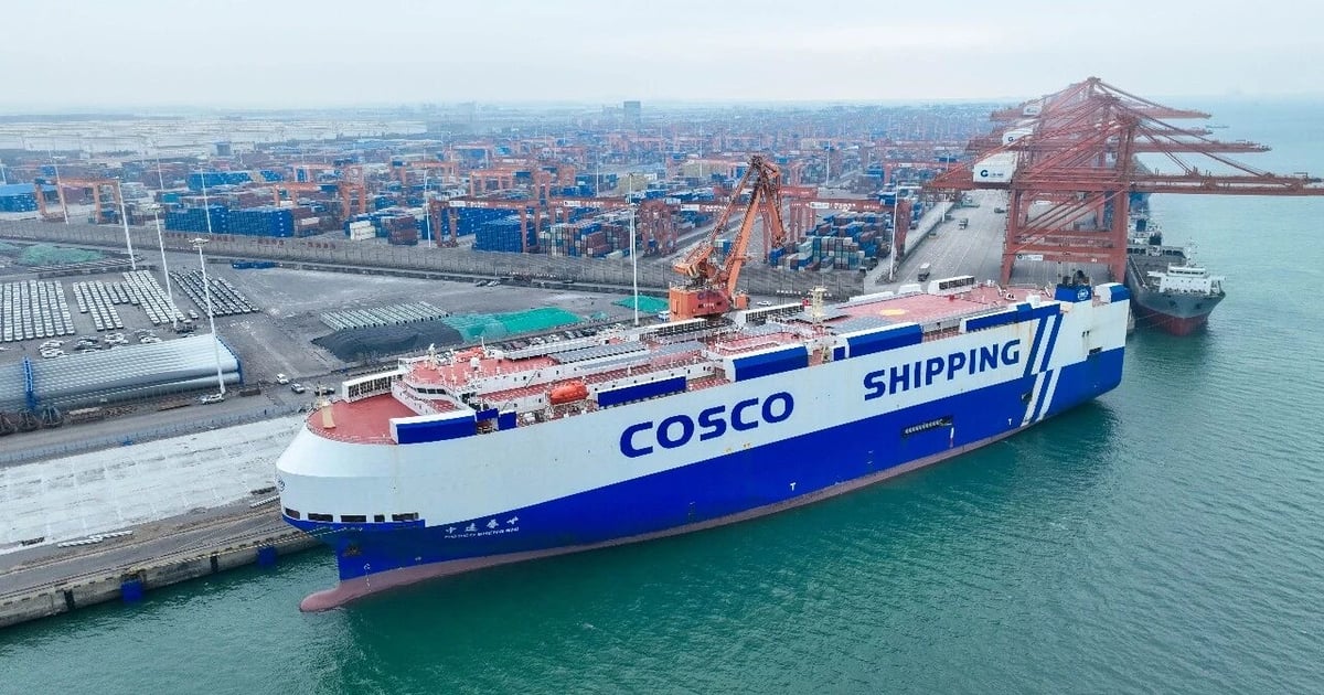 Cosco debuts Beibu Gulf and Middle East car carrier service