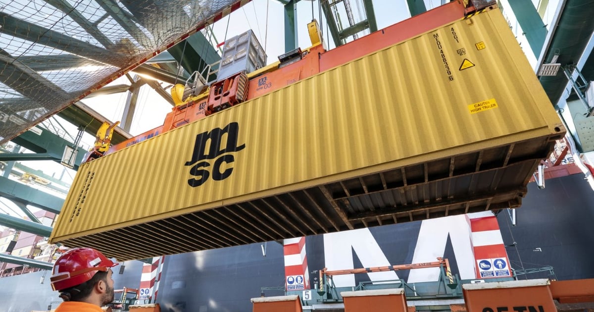 Msc Carrier Service And Routing Guide.pdf MSC launches Middle East – South America service