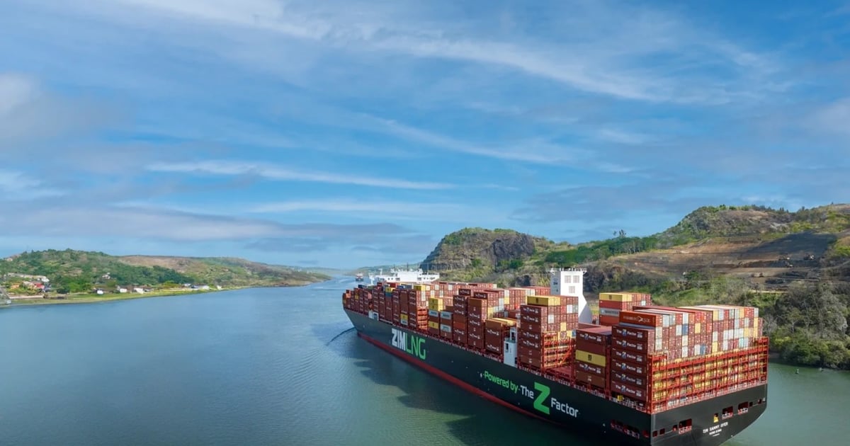 Zim appoints new CEO with non-shipping background