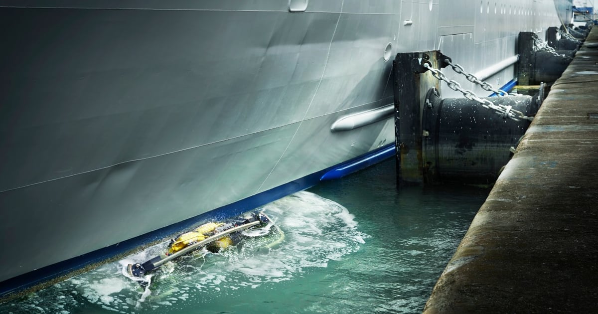 The fragmented global biofouling landscape – a spectrum of strategies