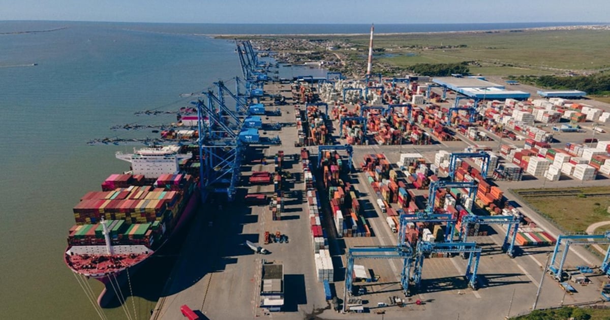 Wilson Sons to expand Rio Grande Container Terminal in Brazil