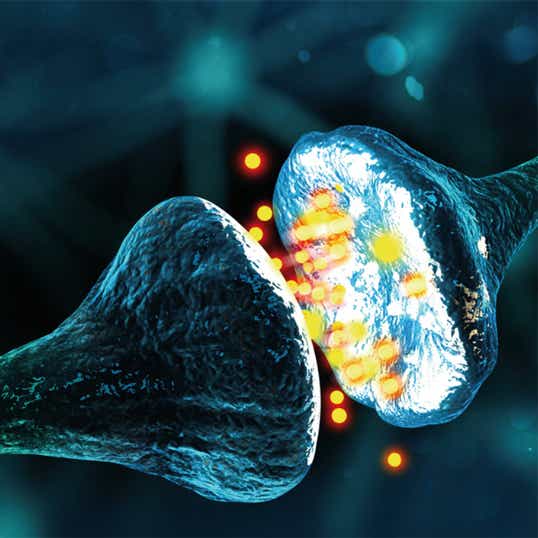 Multiple Sklerose und veränderte neuronale Konnektivität