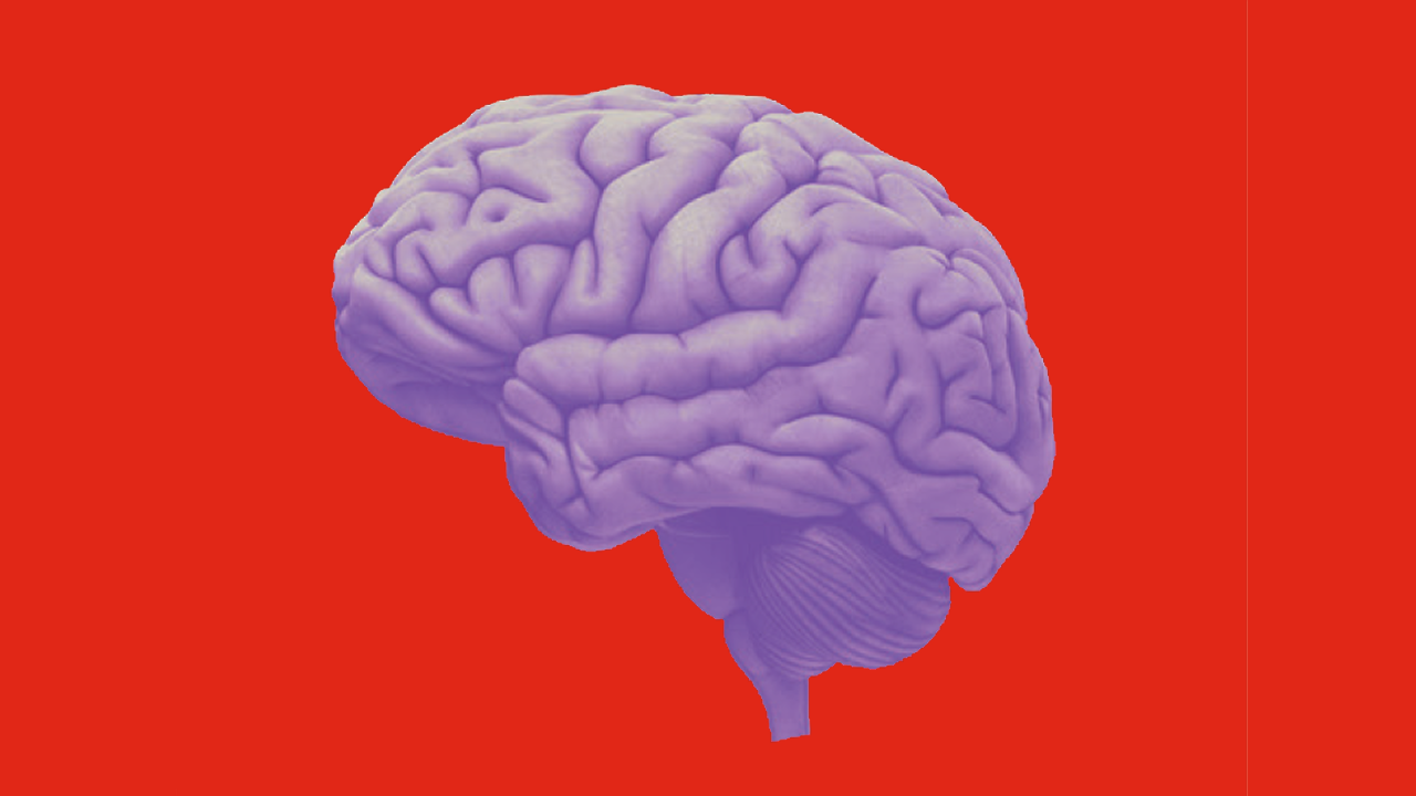 Farbintensive, stilisierte Illustration eines menschlichen Gehirns in Rot- und Violetttönen auf einem roten Hintergrund Die Grafik betonen die typische Furchung in der Großhirnrinde.