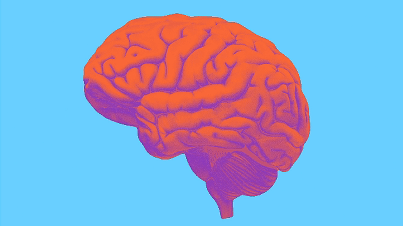 Farbintensive, stilisierte Illustration eines menschlichen Gehirns in Rot- und Violetttönen auf einem hellblauen Hintergrund Die Grafik betonen die typische Furchung in der Großhirnrinde.