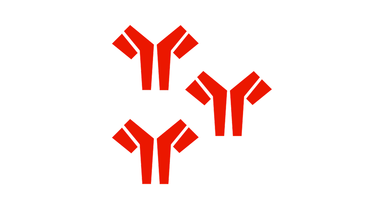 Al-Amyloidose Formen Darstellung von Antikörpern als Ursache der AL-Amyloidose