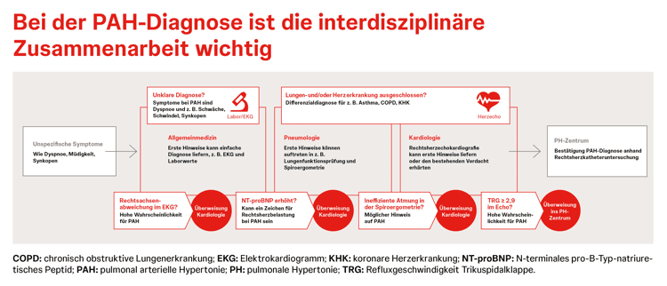 Interdisziplinäre Zusammenarbeit bei der PAH-Diagnose und Red Flags Ausführlicheres Flussdiagramm zu Hinweisen auf P(A)H und welche Überweisungen an Fachbereiche wann sinnvoll sein können