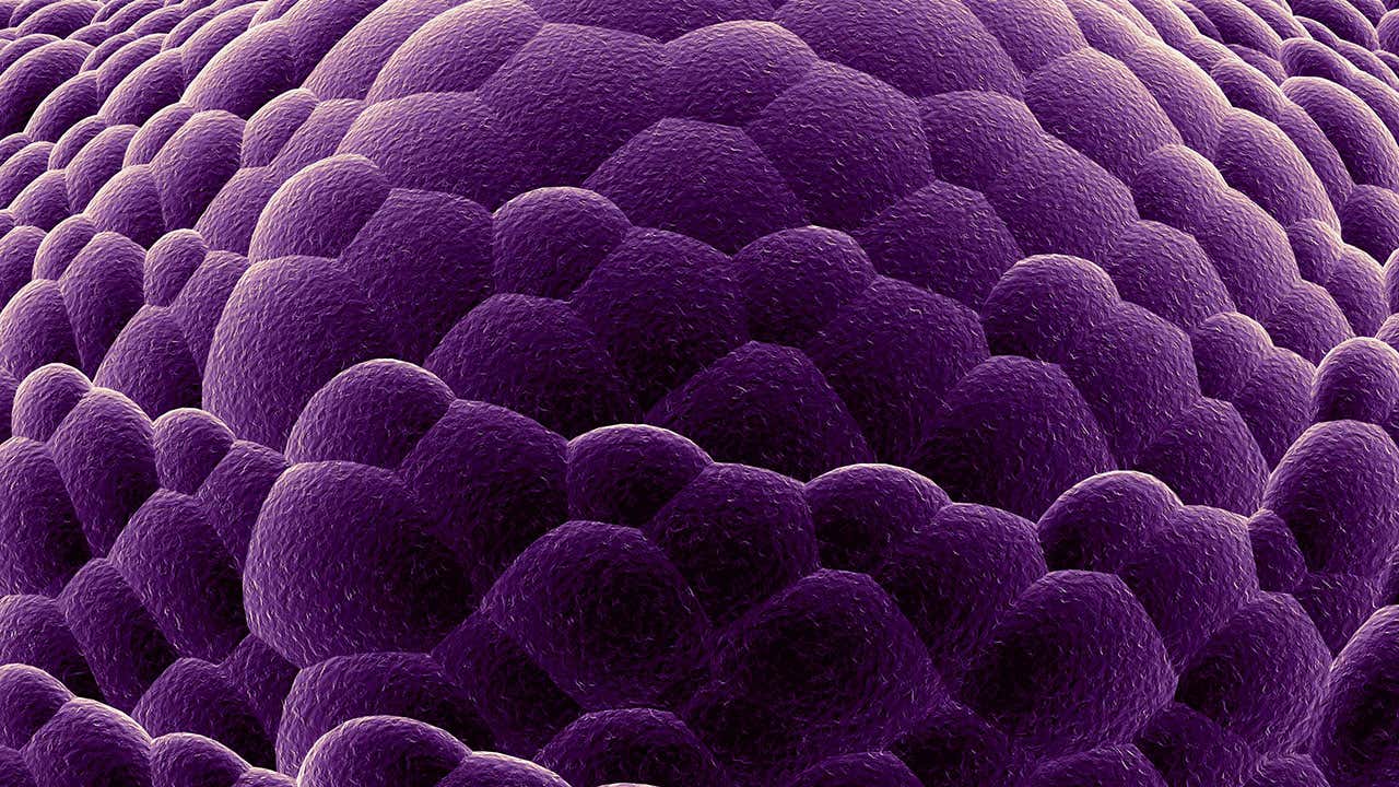 Therapiegebiet Dermatologie