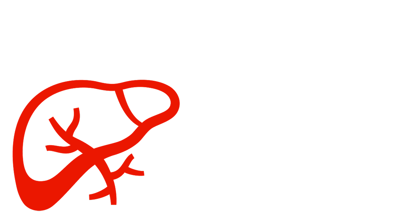 AL-Amyloidose Leberbeteiligung Symbolische Darstellung Leber bei AL-Amyloidose