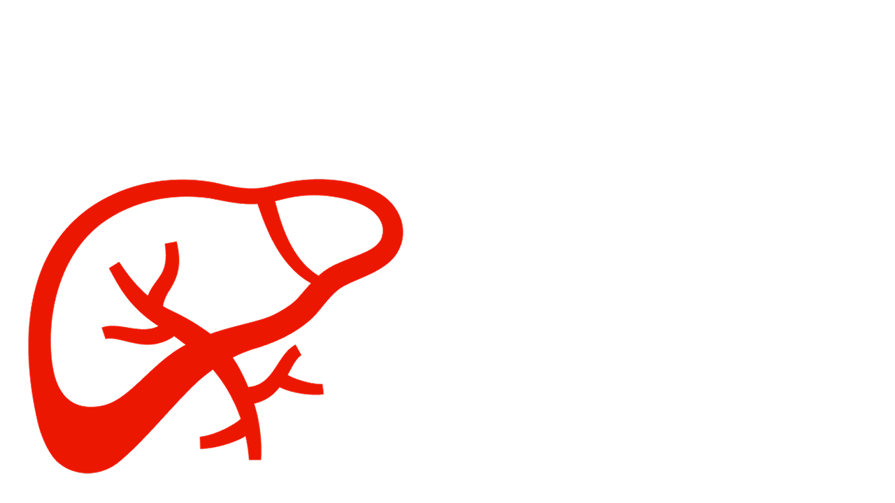 AL-Amyloidose Leberbeteiligung Symbolische Darstellung Leber bei AL-Amyloidose
