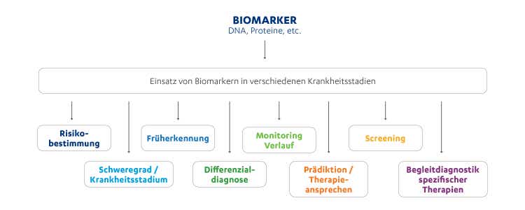 Einsatzbereiche von Biomarkern in der Klinik Biomarker können jedem Stadium eine wichtige Rolle spielen und z. B. Aussagen zum Therapieansprechen ermöglichen.