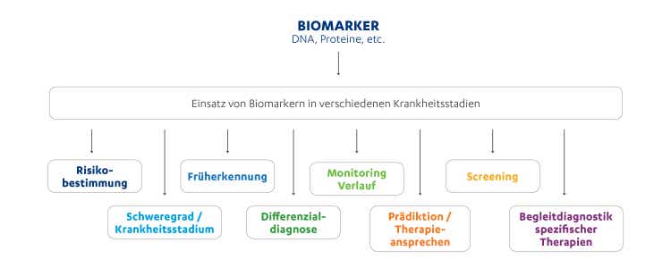 Biomarker können jedem Stadium eine wichtige Rolle spielen und z. B. Aussagen zum Therapieansprechen ermöglichen.
