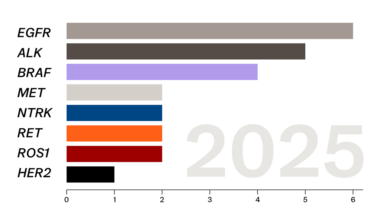Anzahl und Zielstrukturen der aktuell beim NSCLC zugelassenen zielgerichteten Therapien Anzahl und Zielstrukturen der aktuell beim NSCLC zugelassenen zielgerichteten Therapien