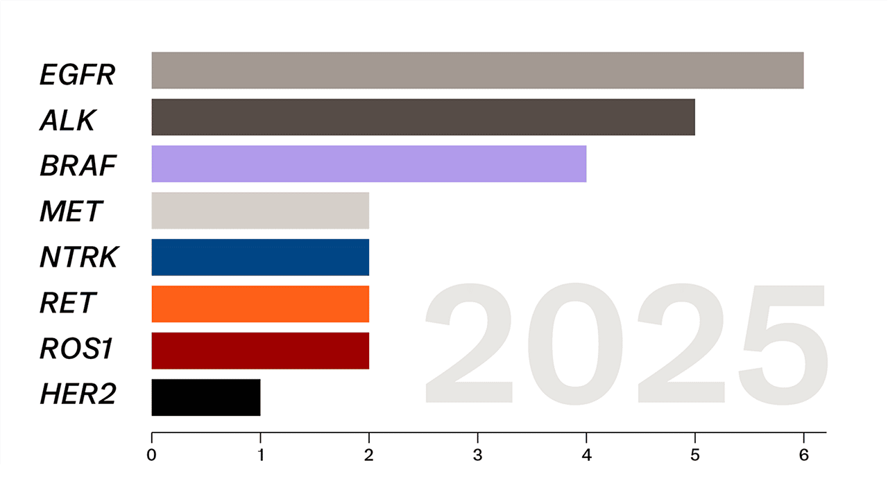 Anzahl und Zielstrukturen der aktuell beim NSCLC zugelassenen zielgerichteten Therapien Anzahl und Zielstrukturen der aktuell beim NSCLC zugelassenen zielgerichteten Therapien
